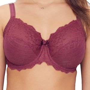 Chantelle Plum Rive Gauche 36DD